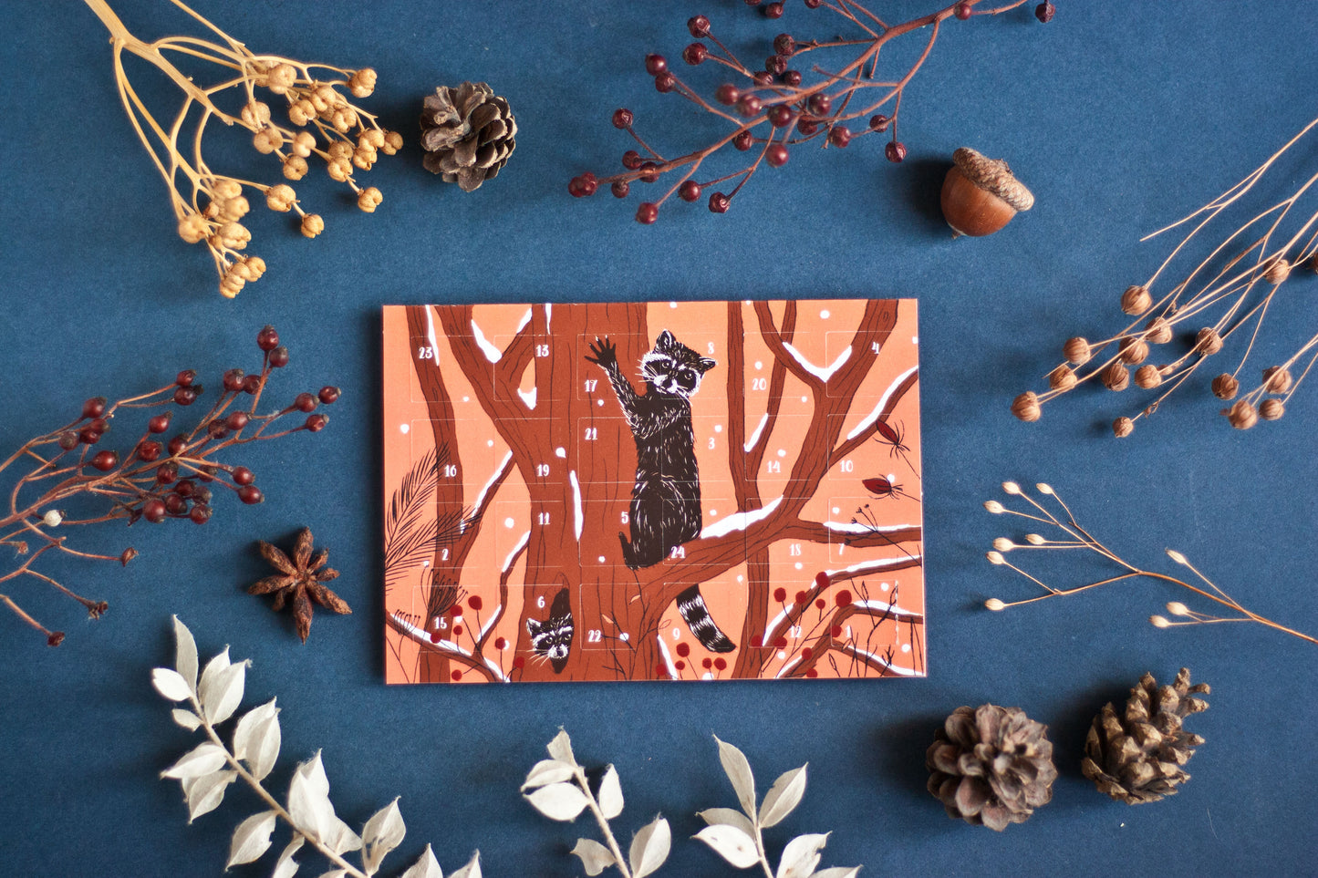 Adventskalender Postkarte Waschbären A6