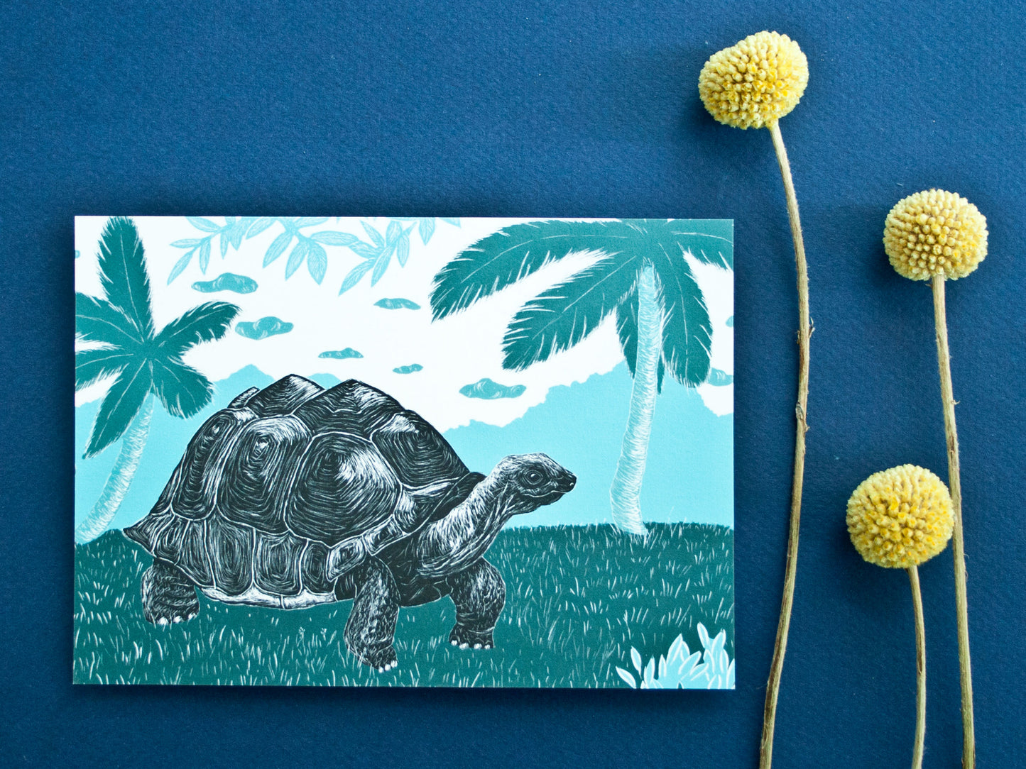 Postkarte A6 Schildkröte