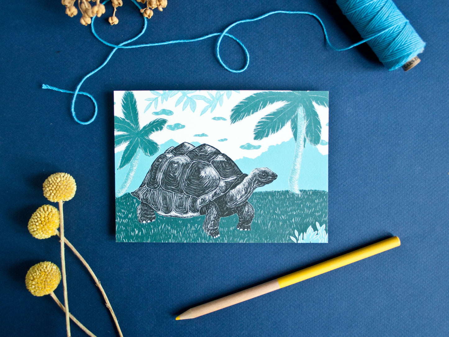 Postkarte A6 Schildkröte