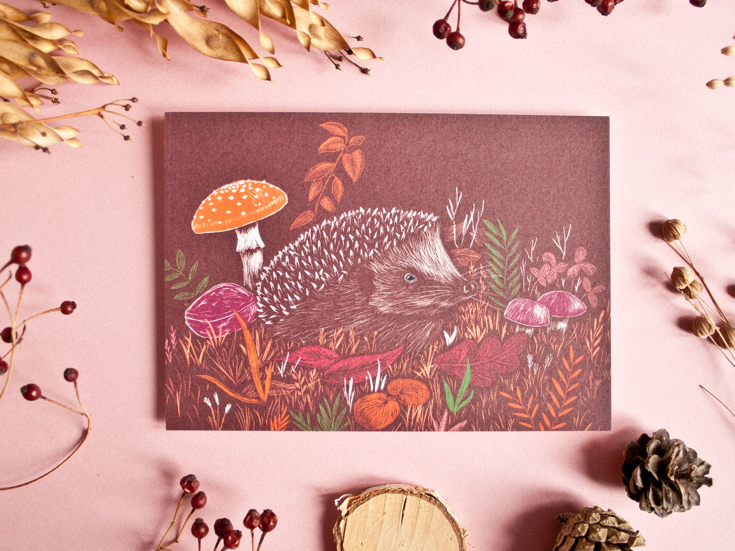 Postkarte Igel