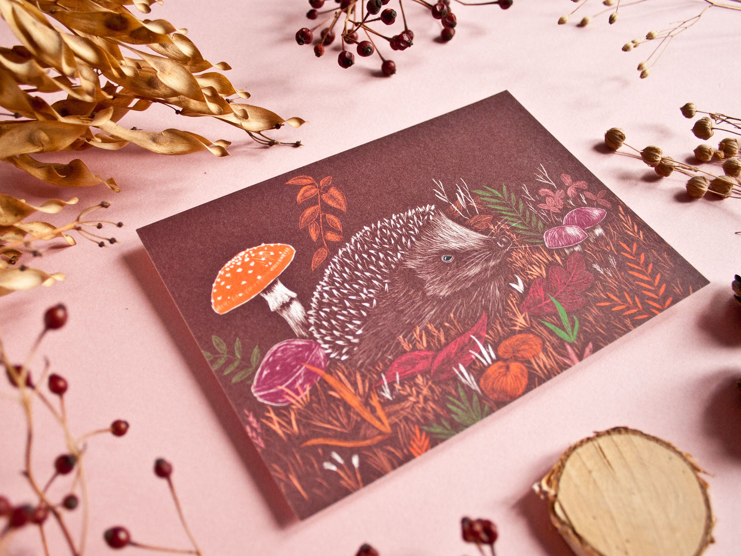 Postkarte Igel