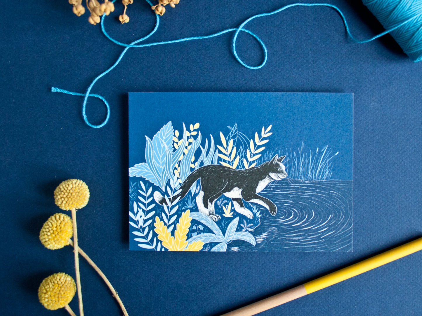 Postkarte Katze A6