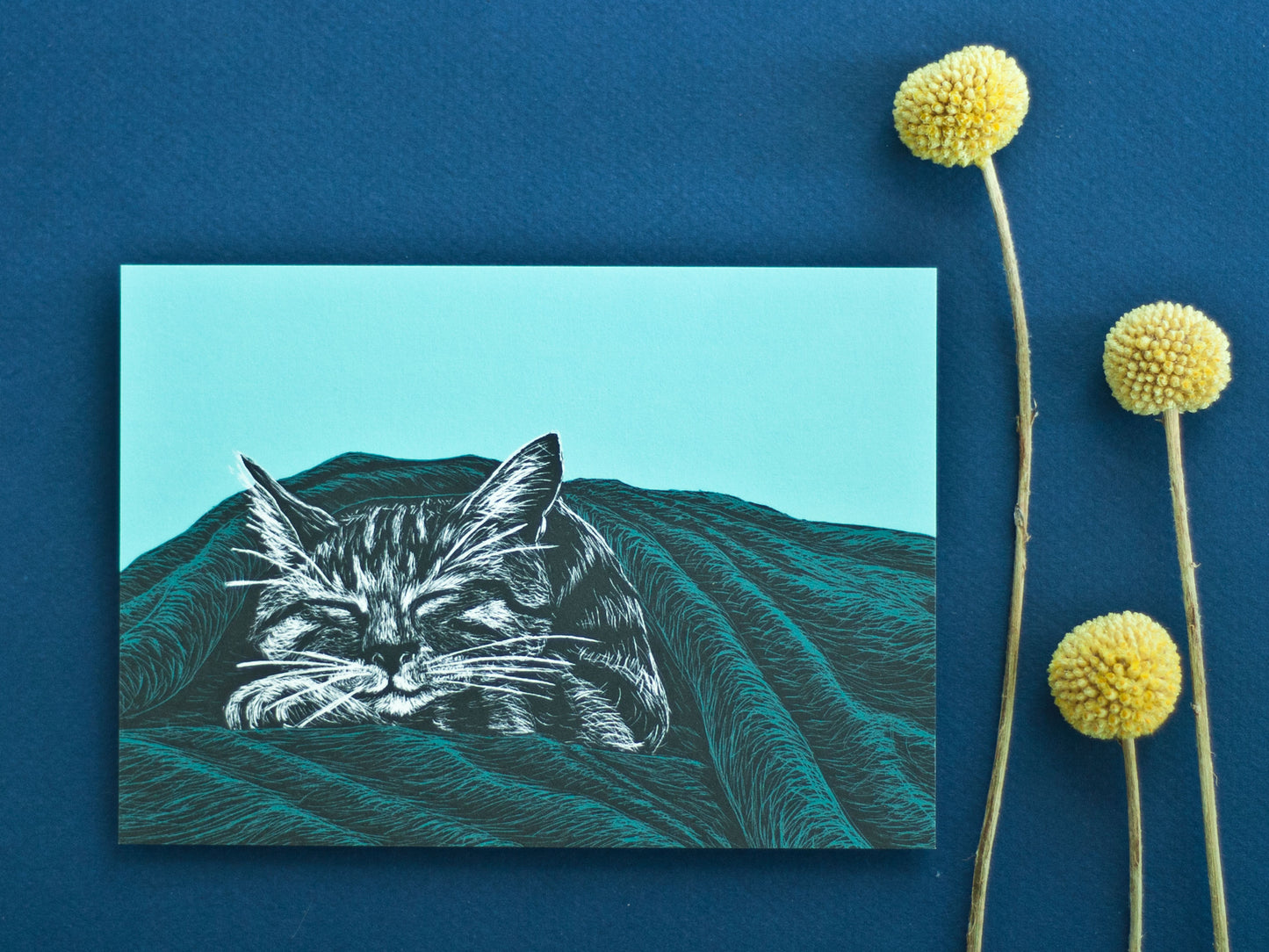 Postkarte A6 Schlafende Katze