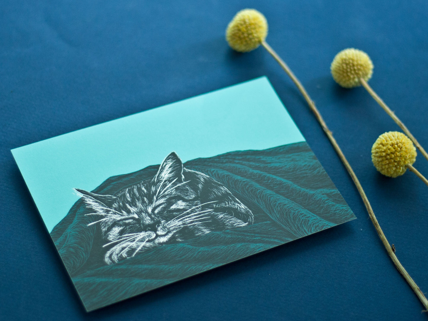 Postkarte A6 Schlafende Katze