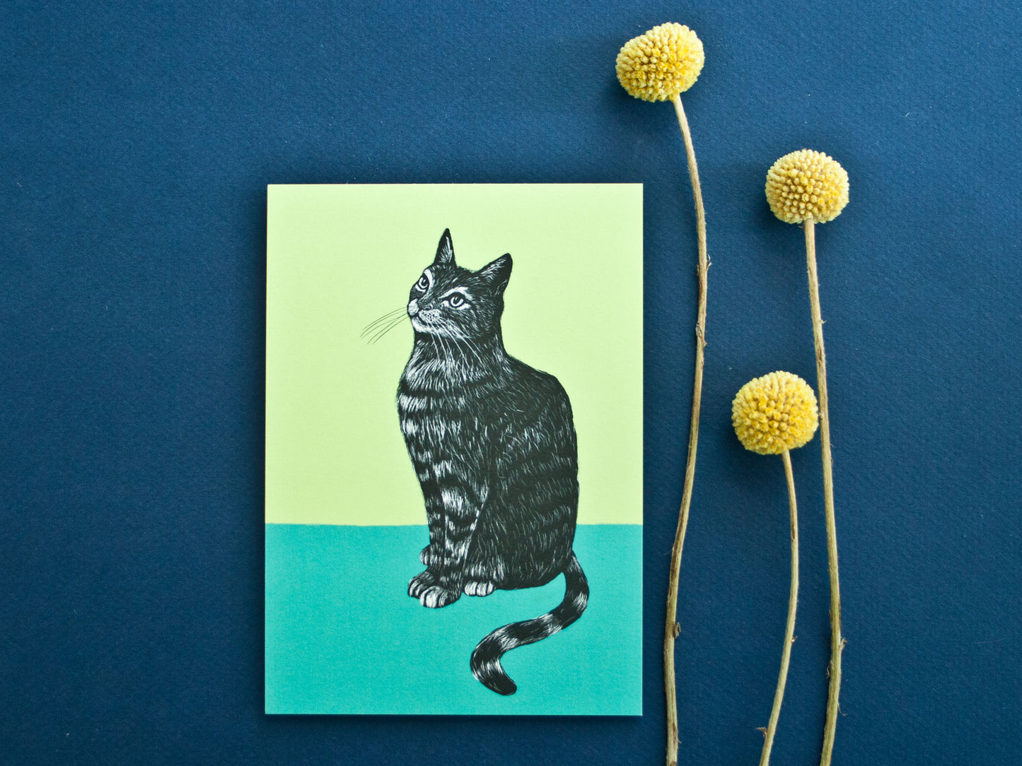 Postkarte Katze A6