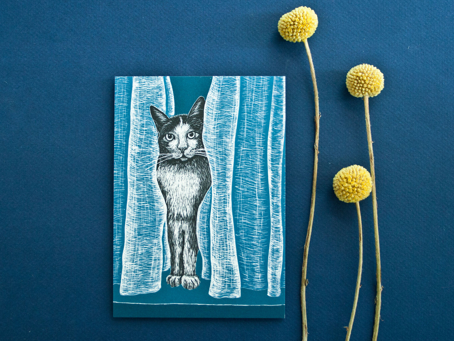 Postkarte Katze A6