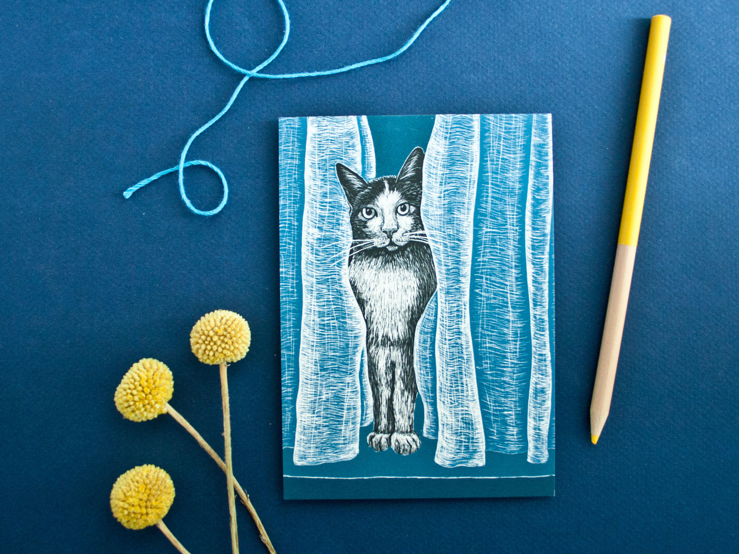 Postkarte Katze A6