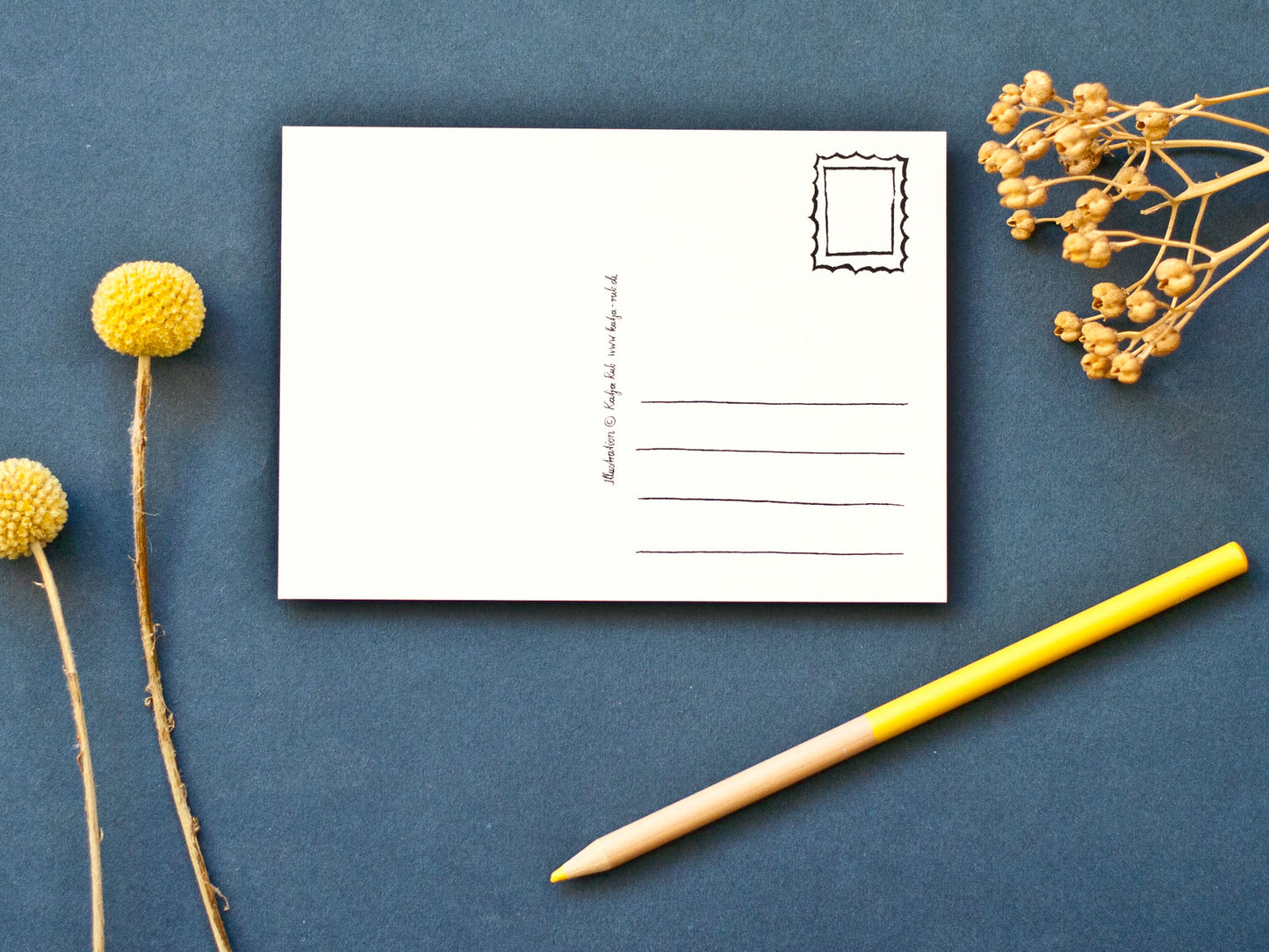 Postkarte Meise im A6 Format Rückseite