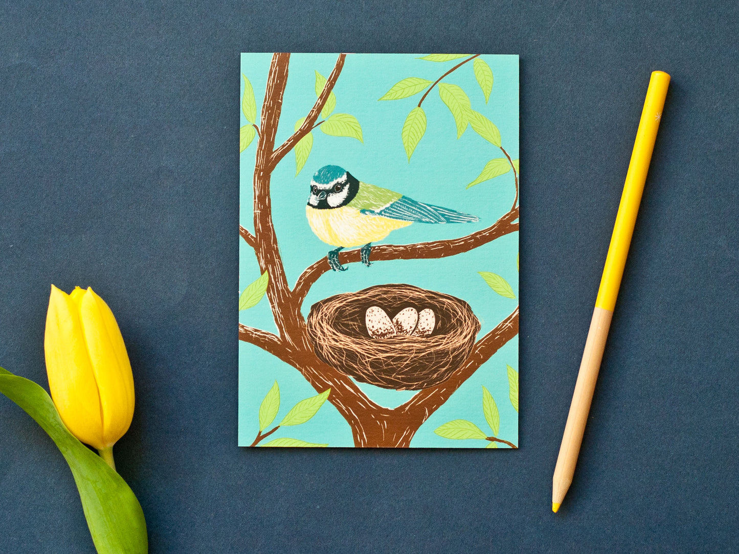 Postkarte Meise im A6 Format