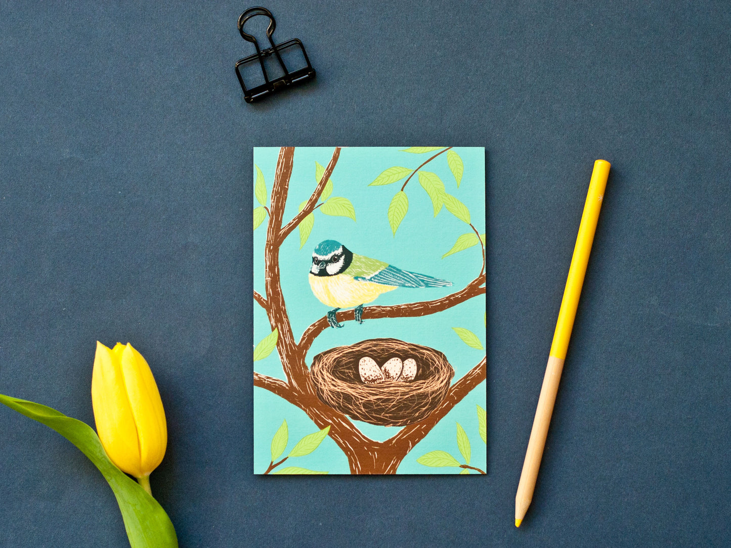 Postkarte Meise im A6 Format