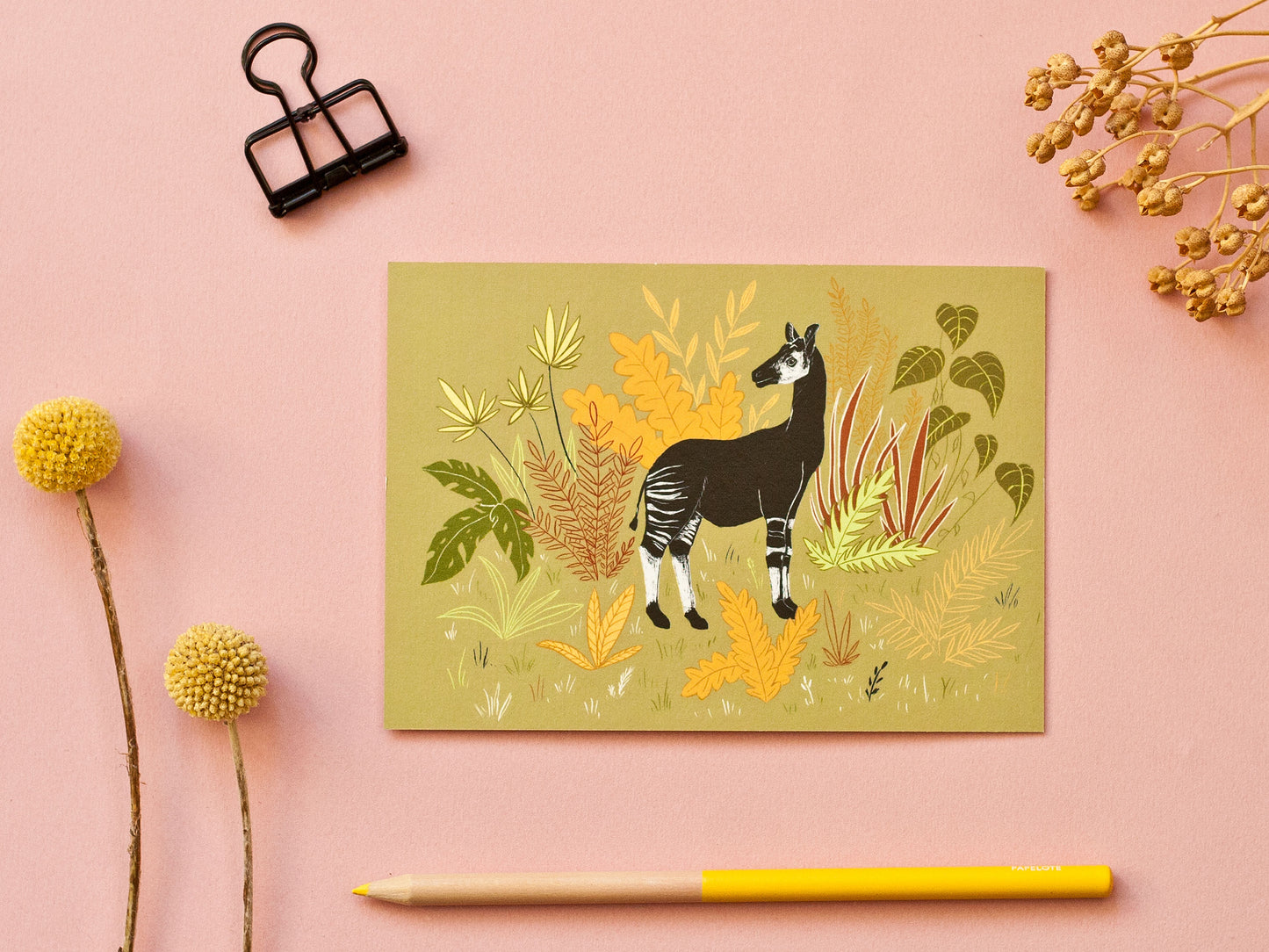 Postkarte A6 Okapi