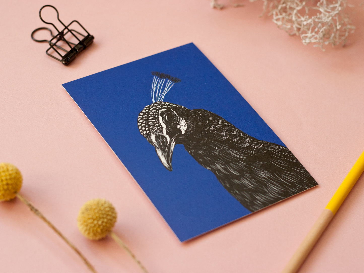 Postkarte A6 Pfau