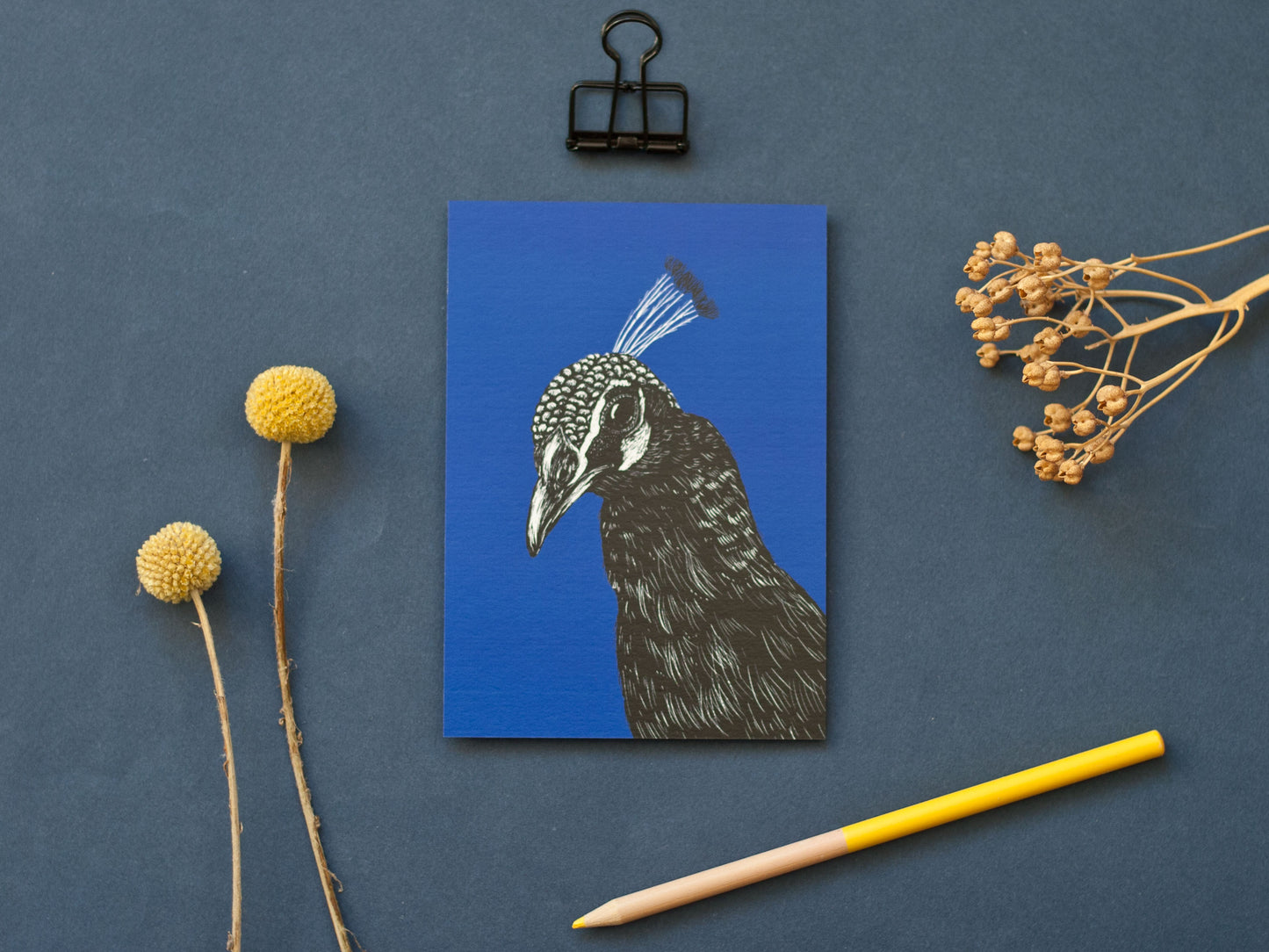 Postkarte A6 Pfau