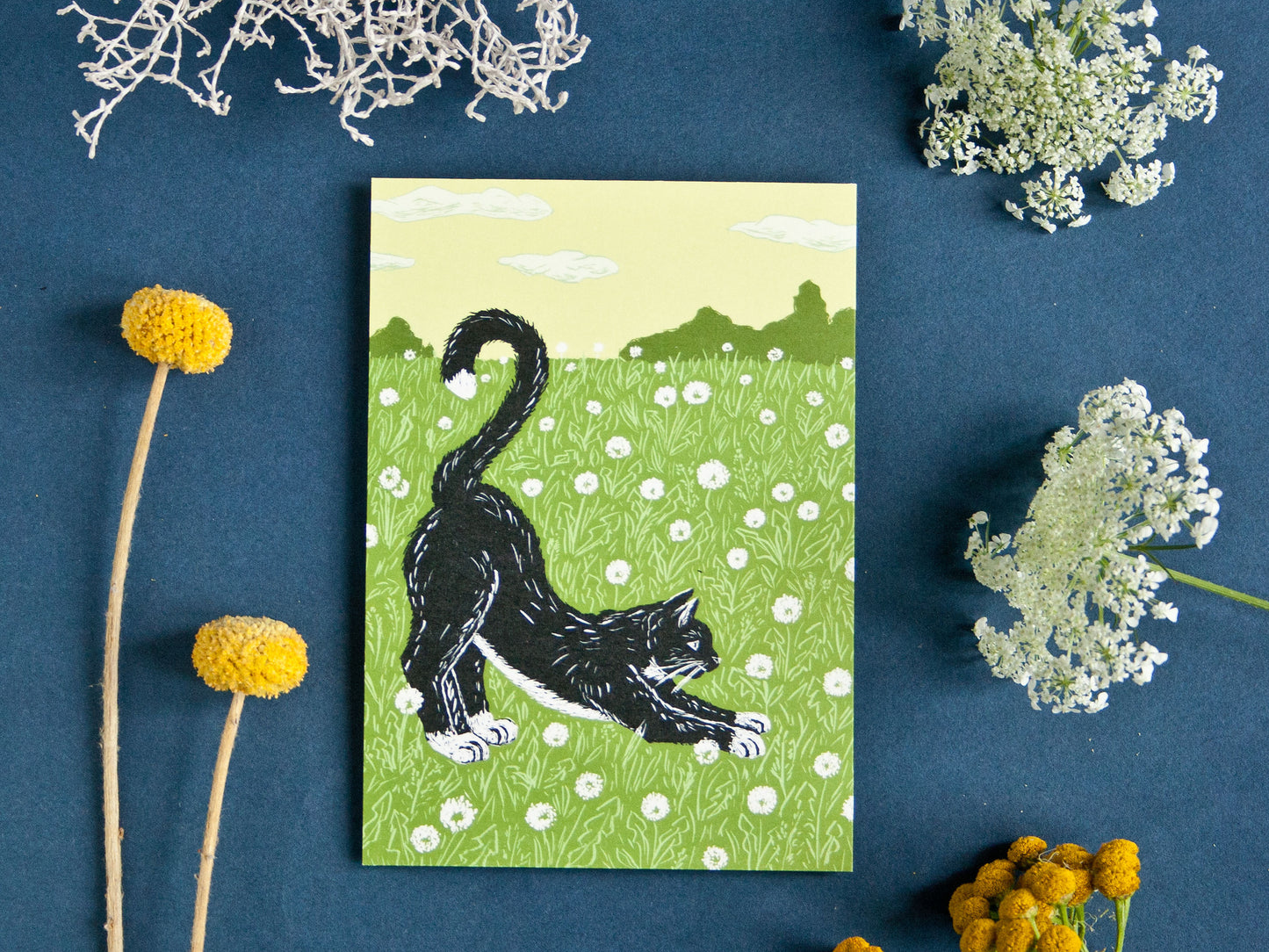 Postkarte A6, Katze auf Löwenzahnwiese