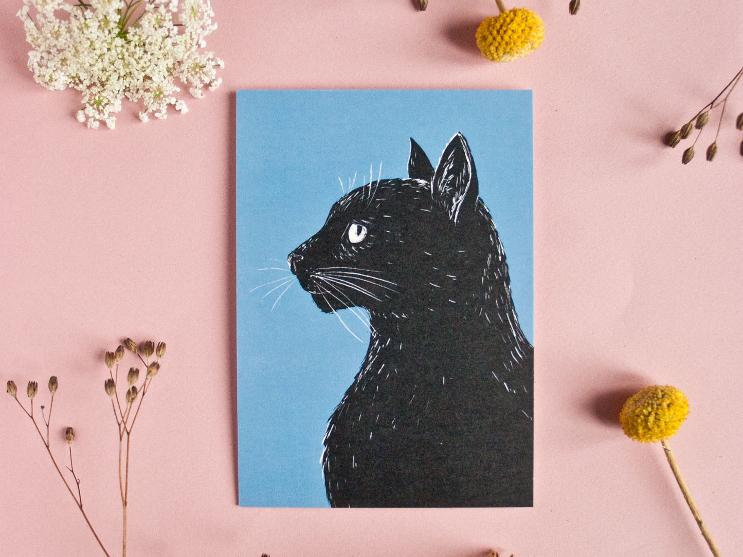 Katze im Profil, Postkarte A6