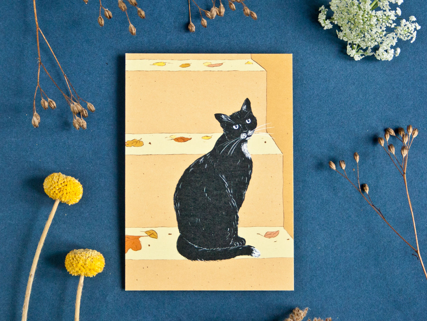 Katze auf Treppe, Postkarte A6