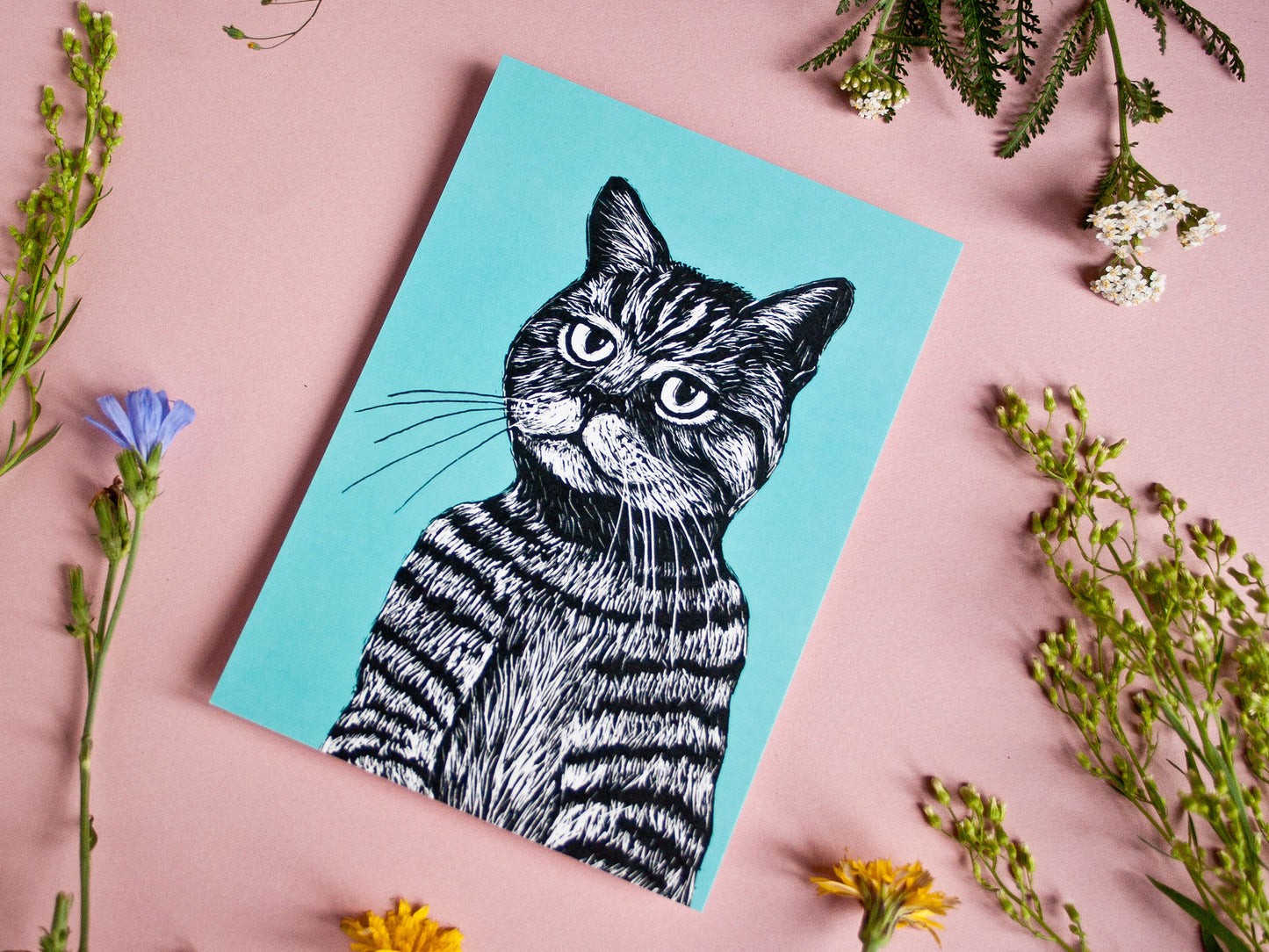 Postkarte Katze im A6 Format