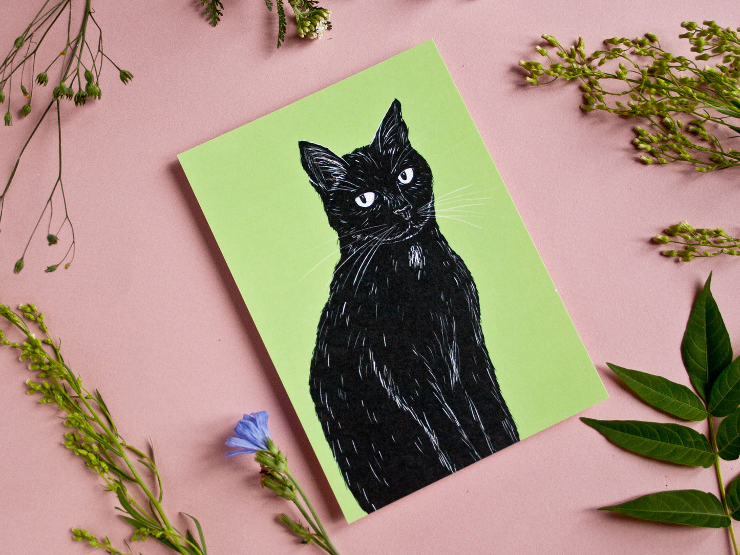 Postkarte Katze, A6