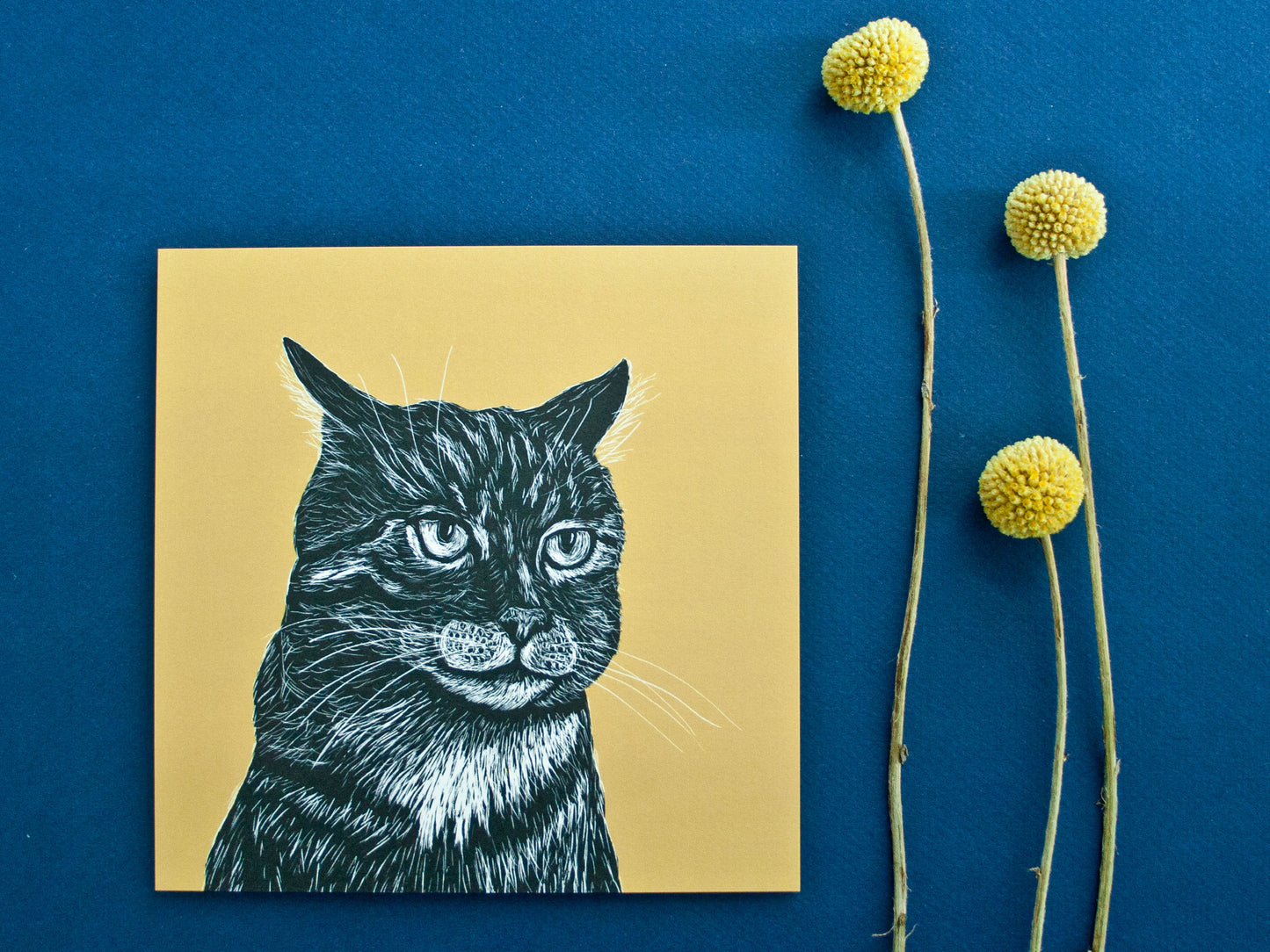 Postkarte Katze