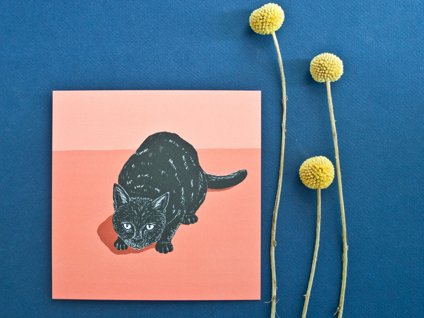 Postkarte Katze