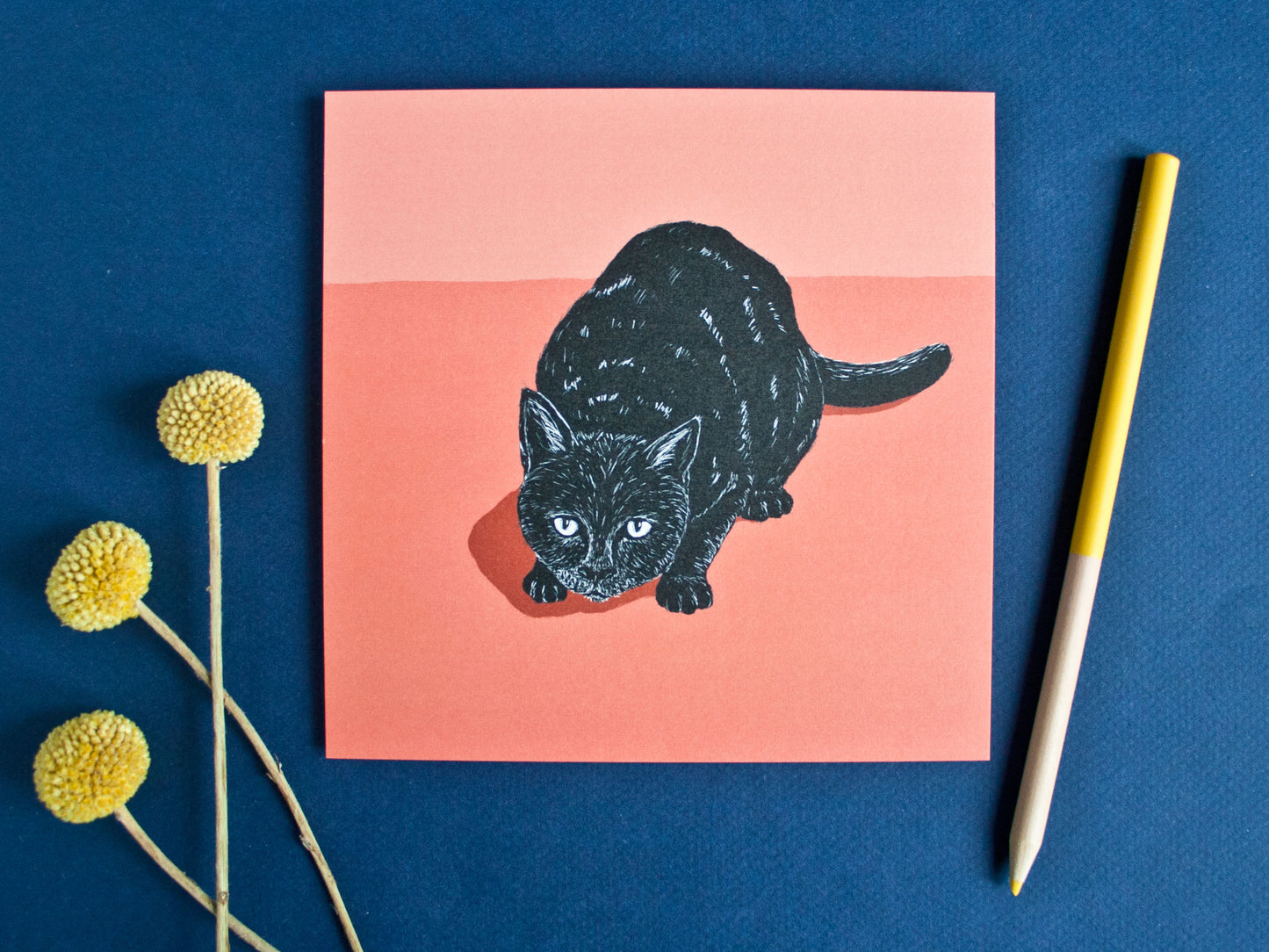 Postkarte Katze