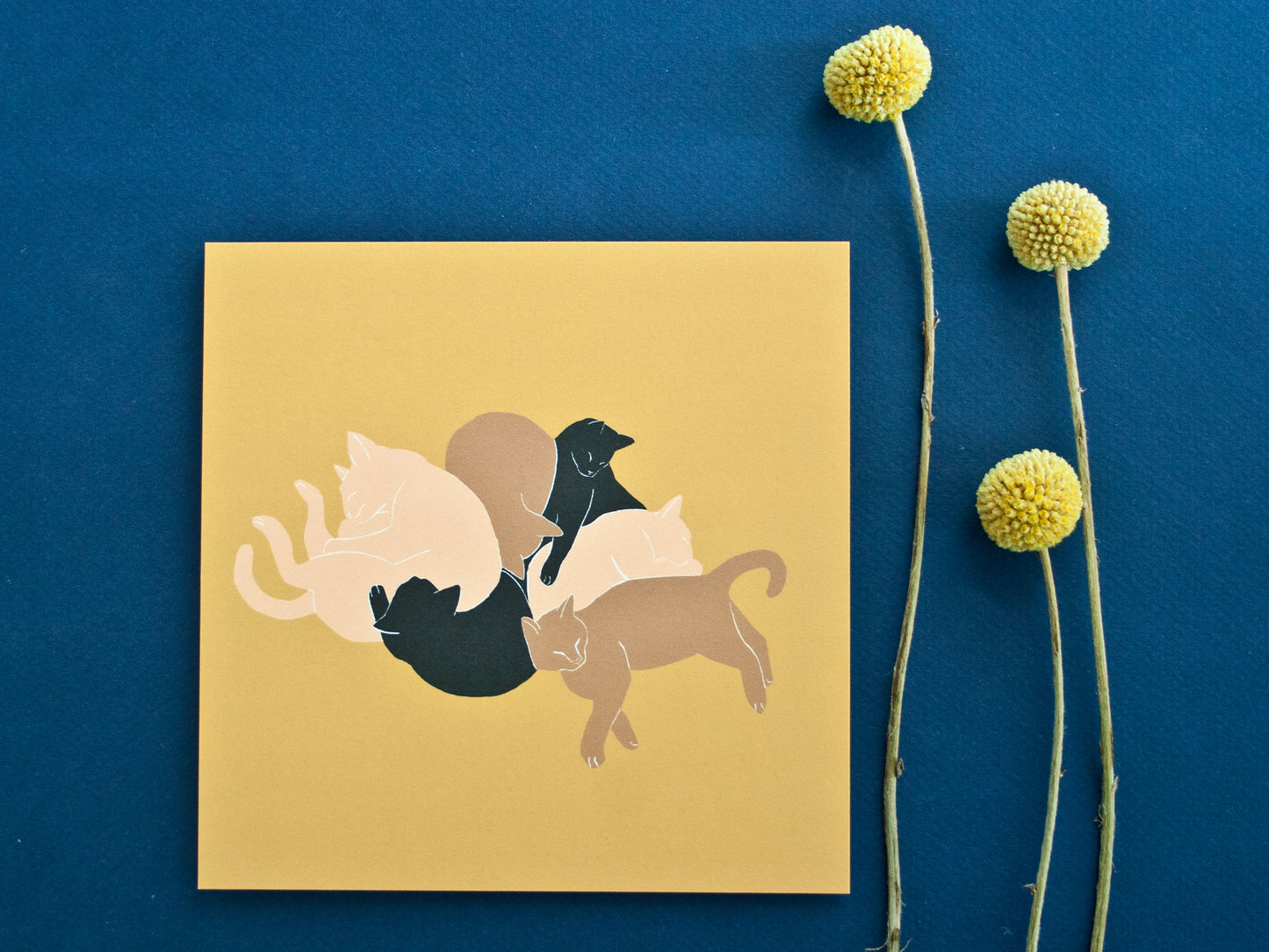 Postkarte Katze