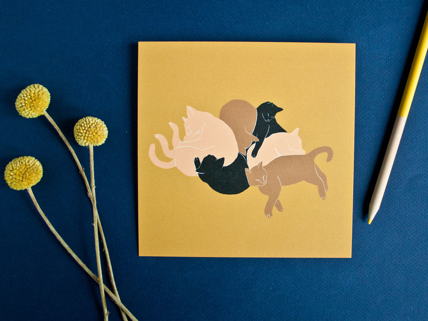 Postkarte Katze