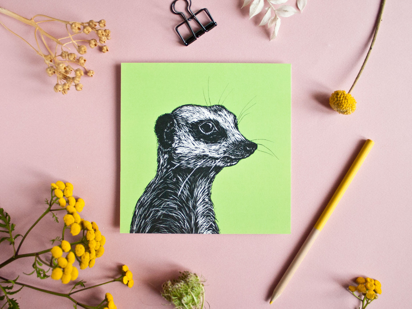Quadratische Postkarte Erdmännchen