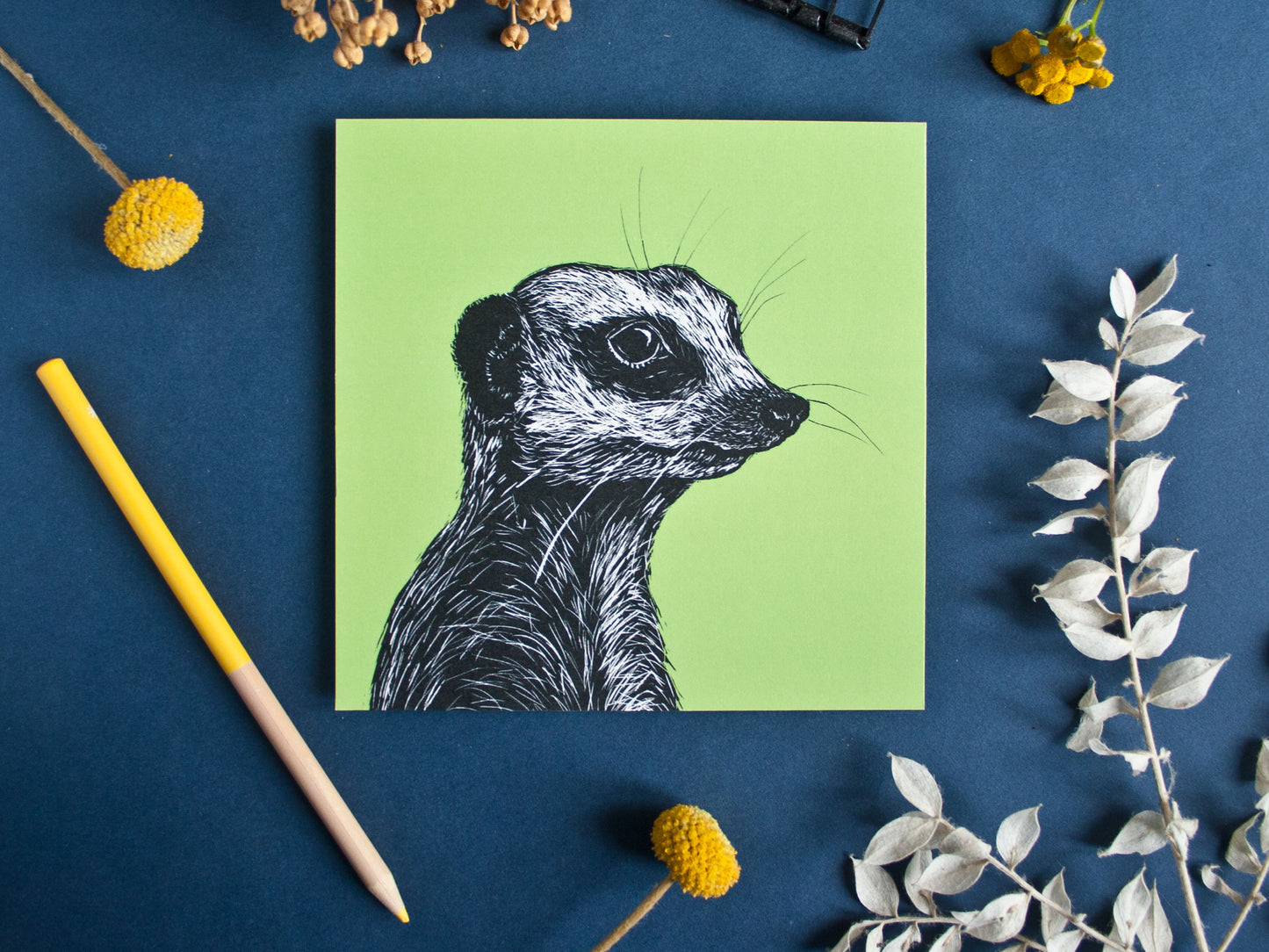 Quadratische Postkarte Erdmännchen