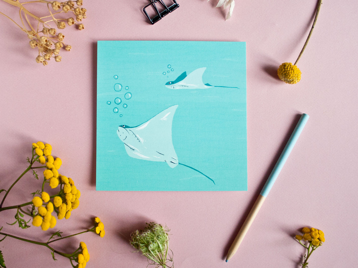 Quadratische Postkarte Rochen