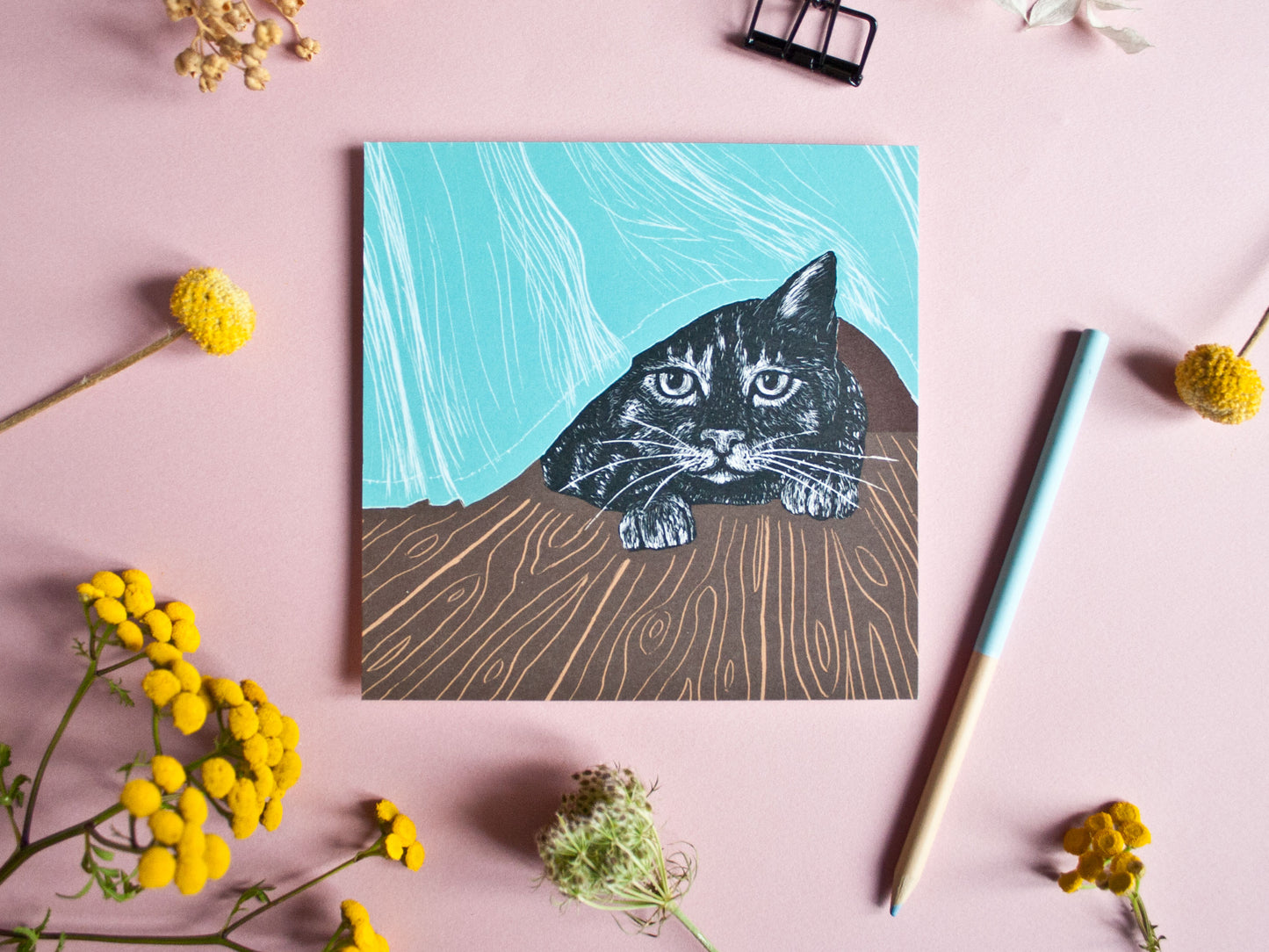 Quadratische Postkarte Katze