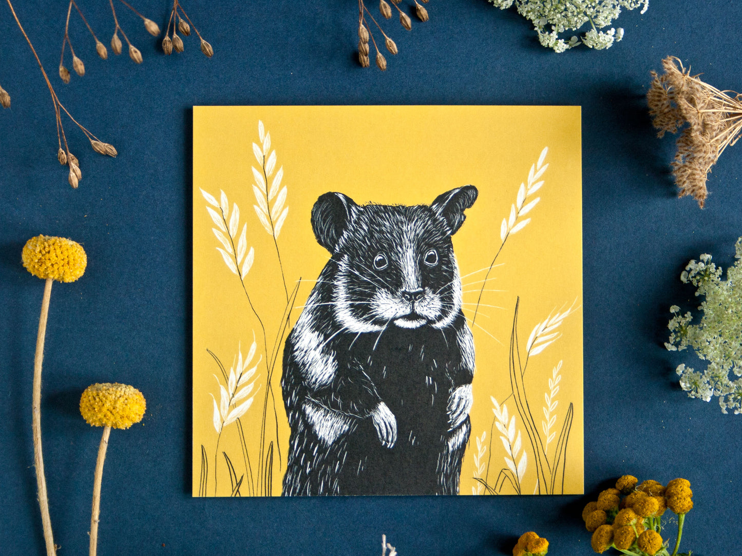 Quadratische Postkarte Hamster