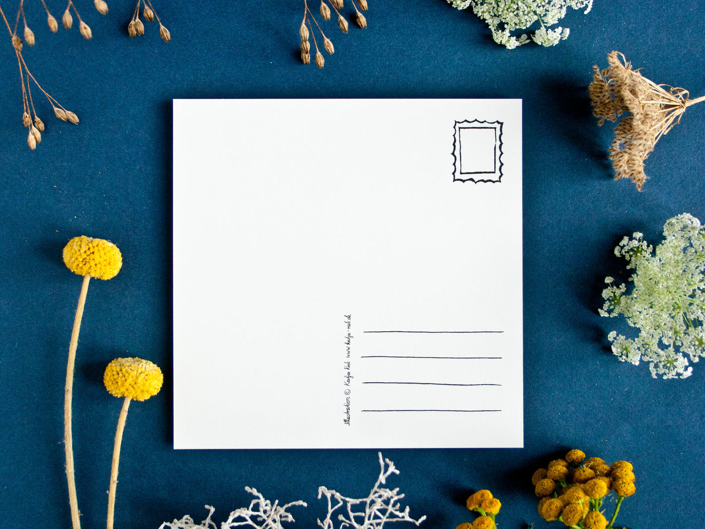 Postkarte Rückseite