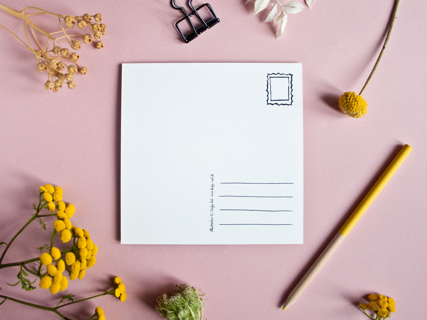 Quadratische Postkarte Katze Rückseite