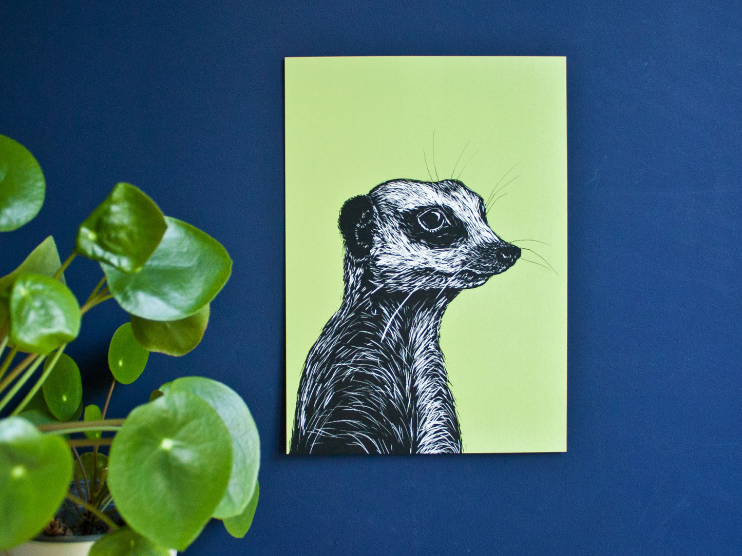 Erdmännchen Poster A4