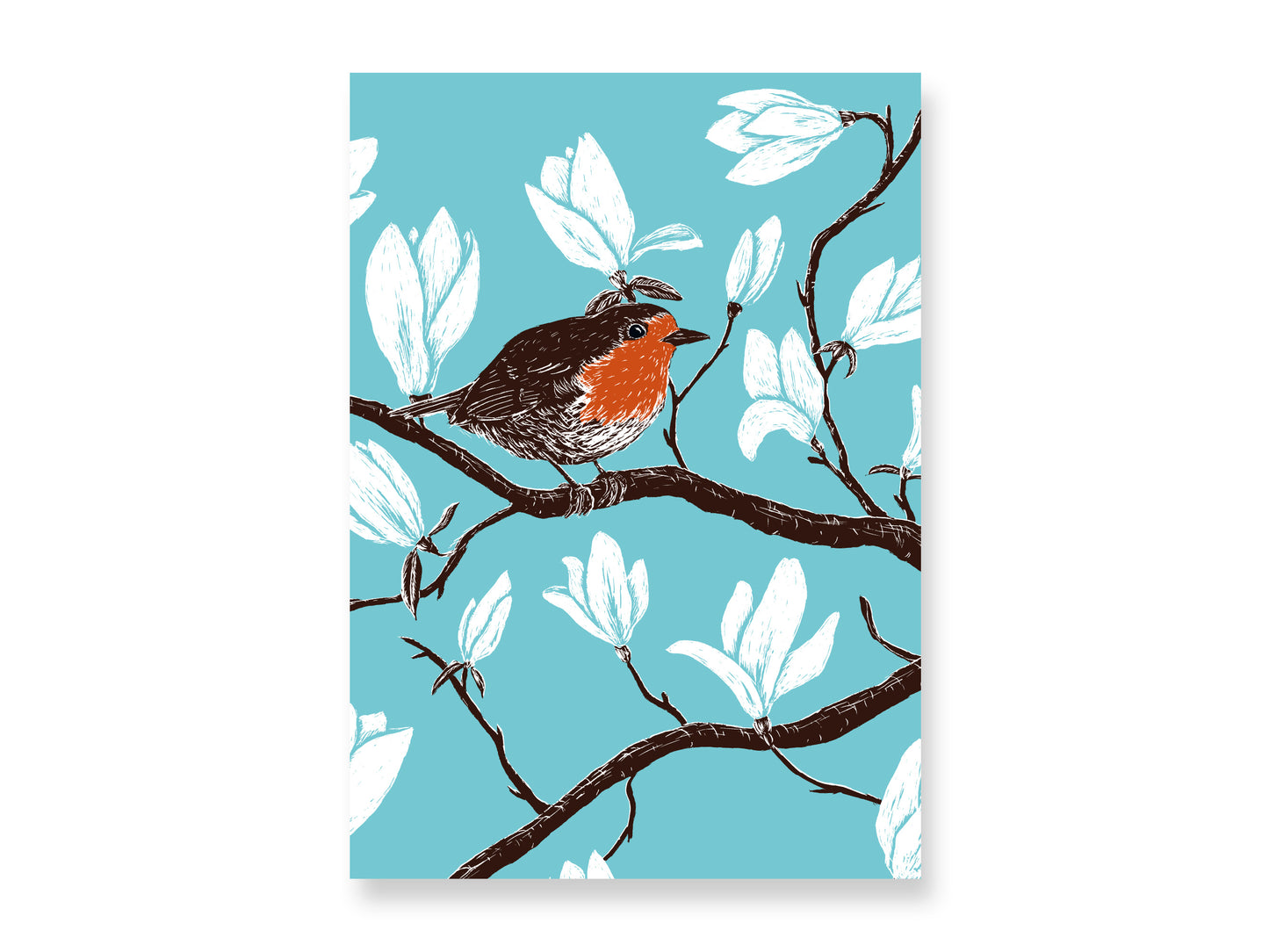 Poster Rotkehlchen & Magnolie A4