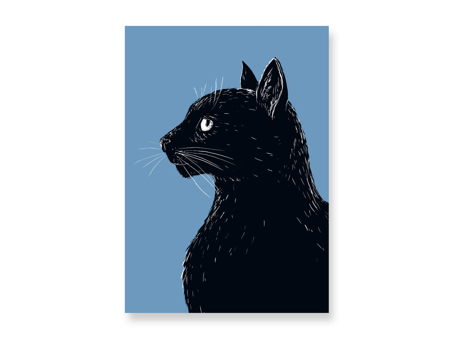 Poster A4 Katze im Profil
