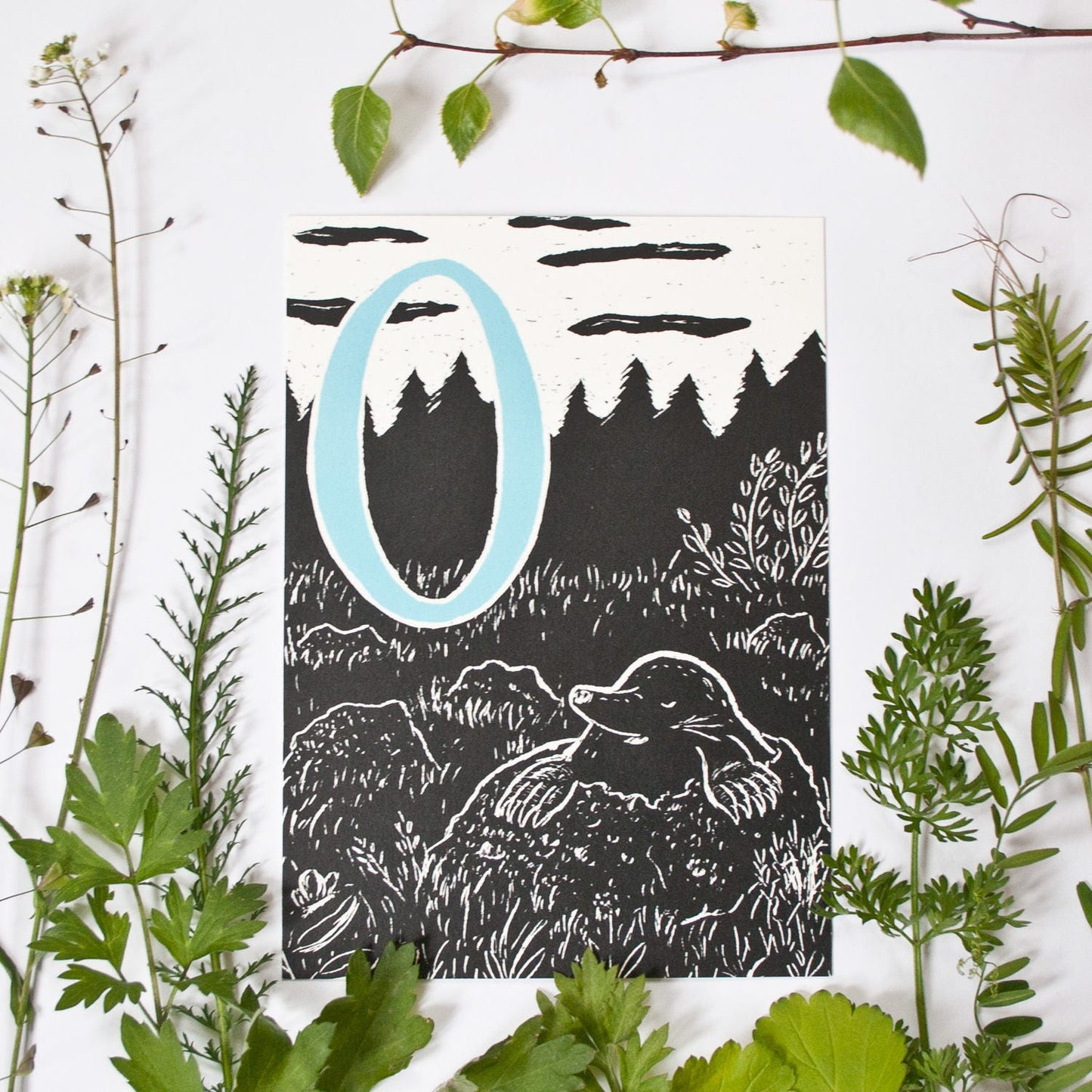 Postkarte Maulwurf und 0