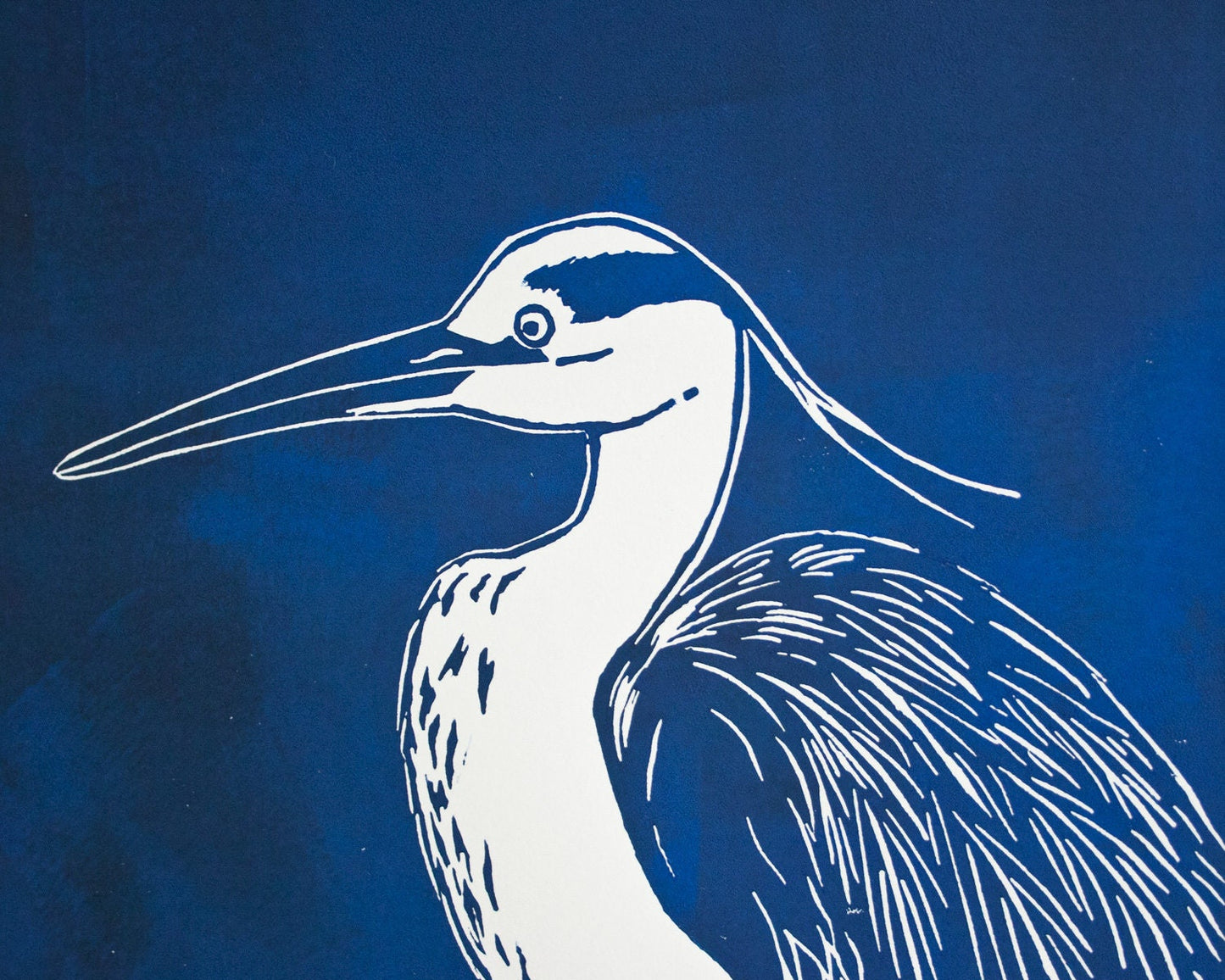 Reiher, original Linoldruck, Vogel Druckgrafik
