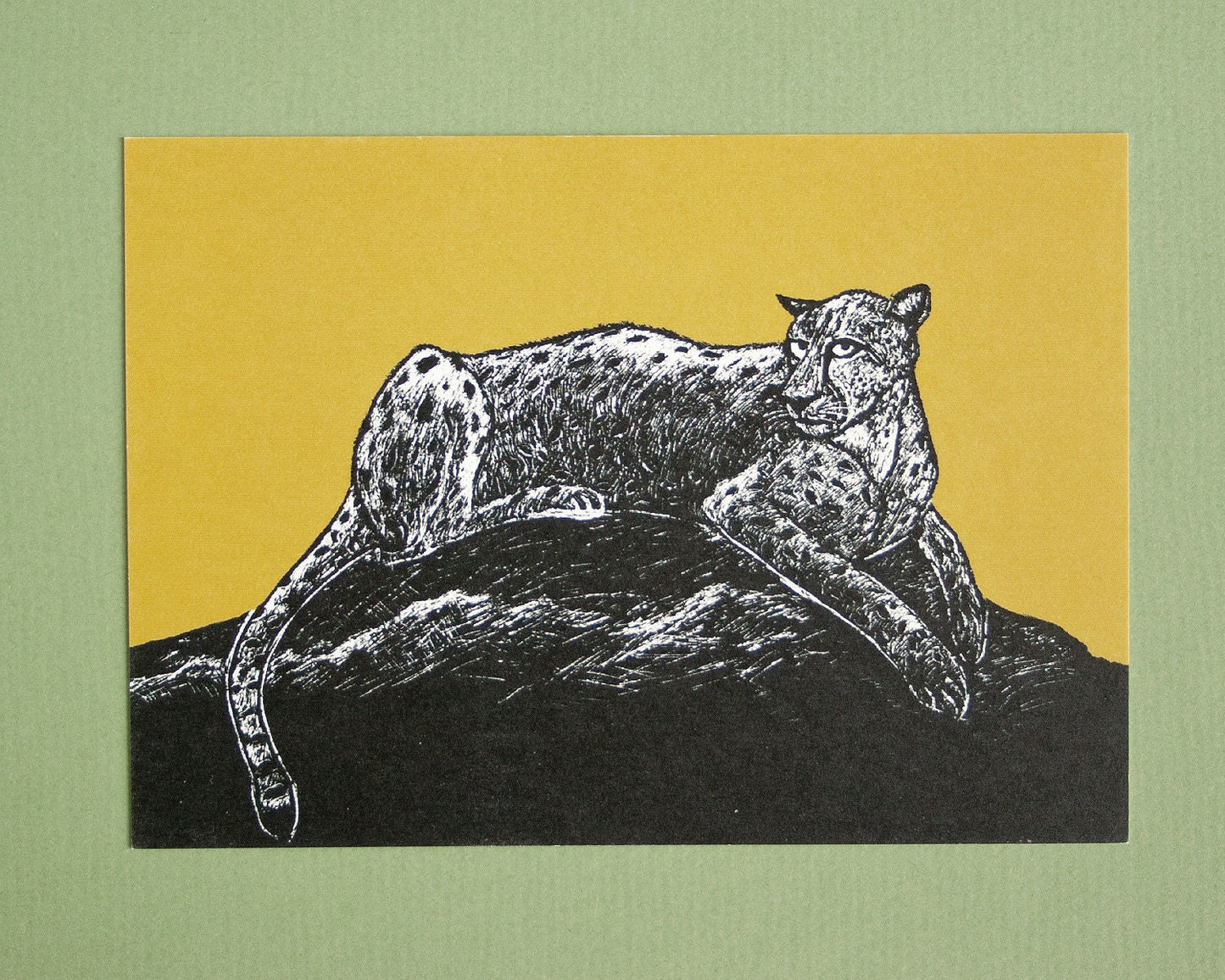 Postkarte A6 Gepard