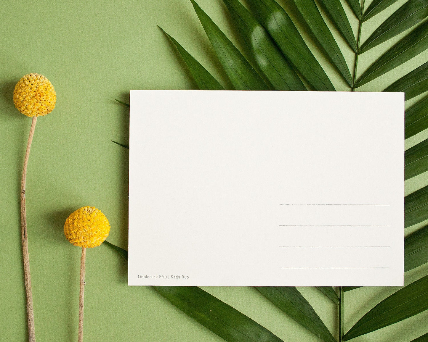Postkarte A6 Pfau Rückseite