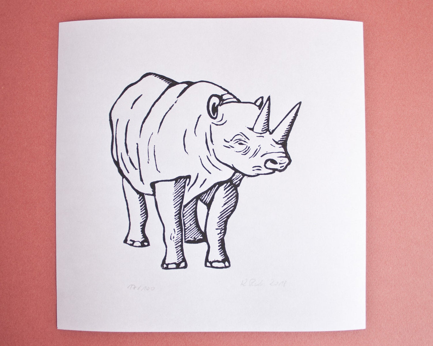 Druckgrafik Nashorn, original Linoldruck