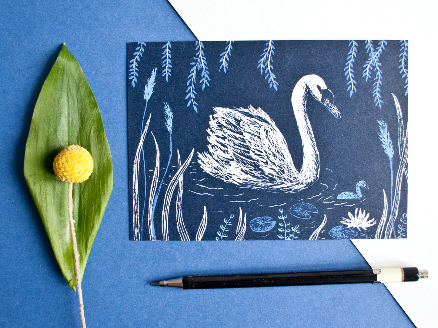 Postkarte A6 Schwäne