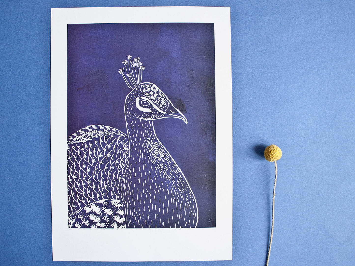 Poster Blauer Pfau A4