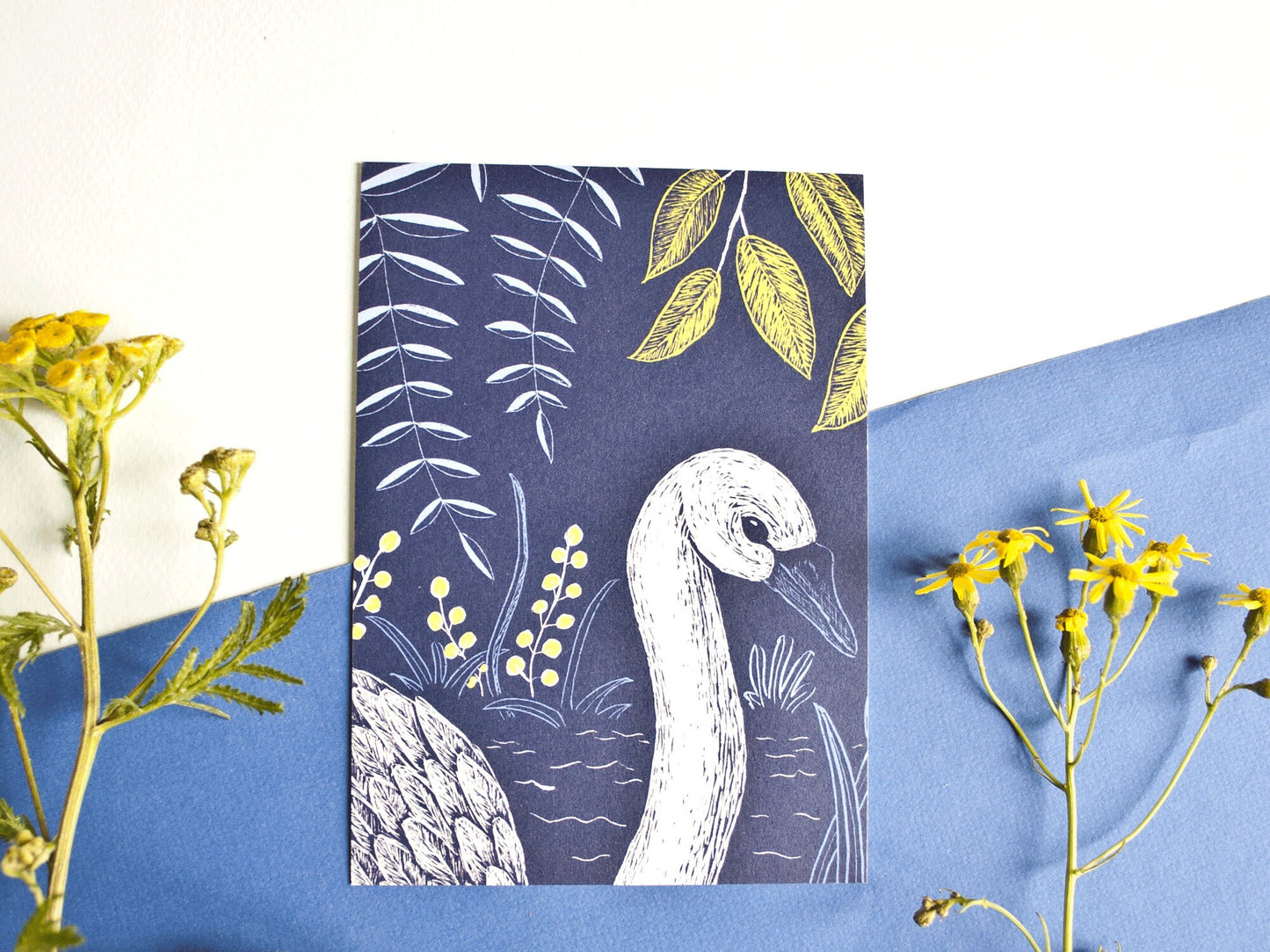 Postkarte A6 Schwan