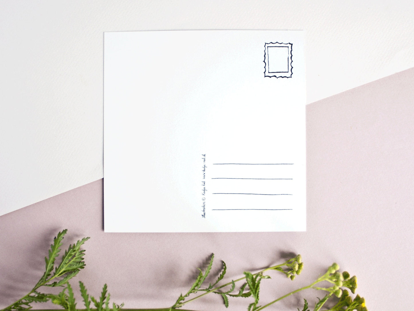 Quadratische Postkarte Katze Rückseite