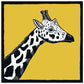 Quadratische Postkarte Giraffe