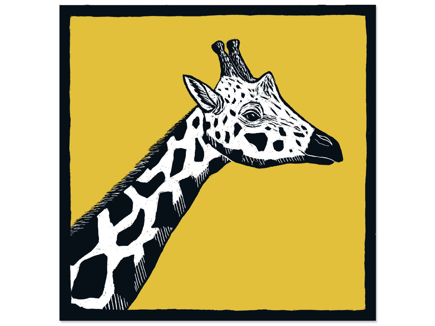 Quadratische Postkarte Giraffe