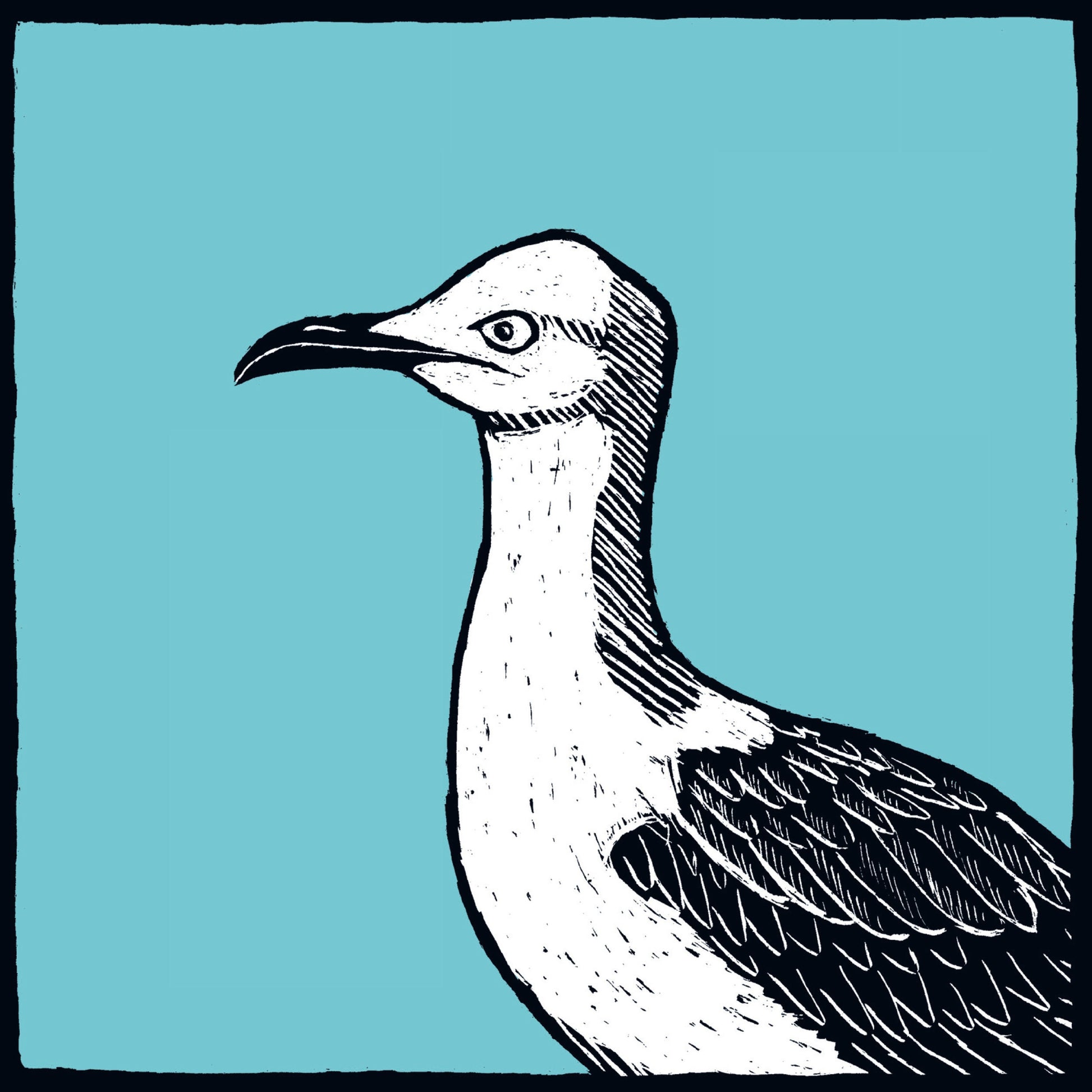 Quadratische Postkarte Möwe