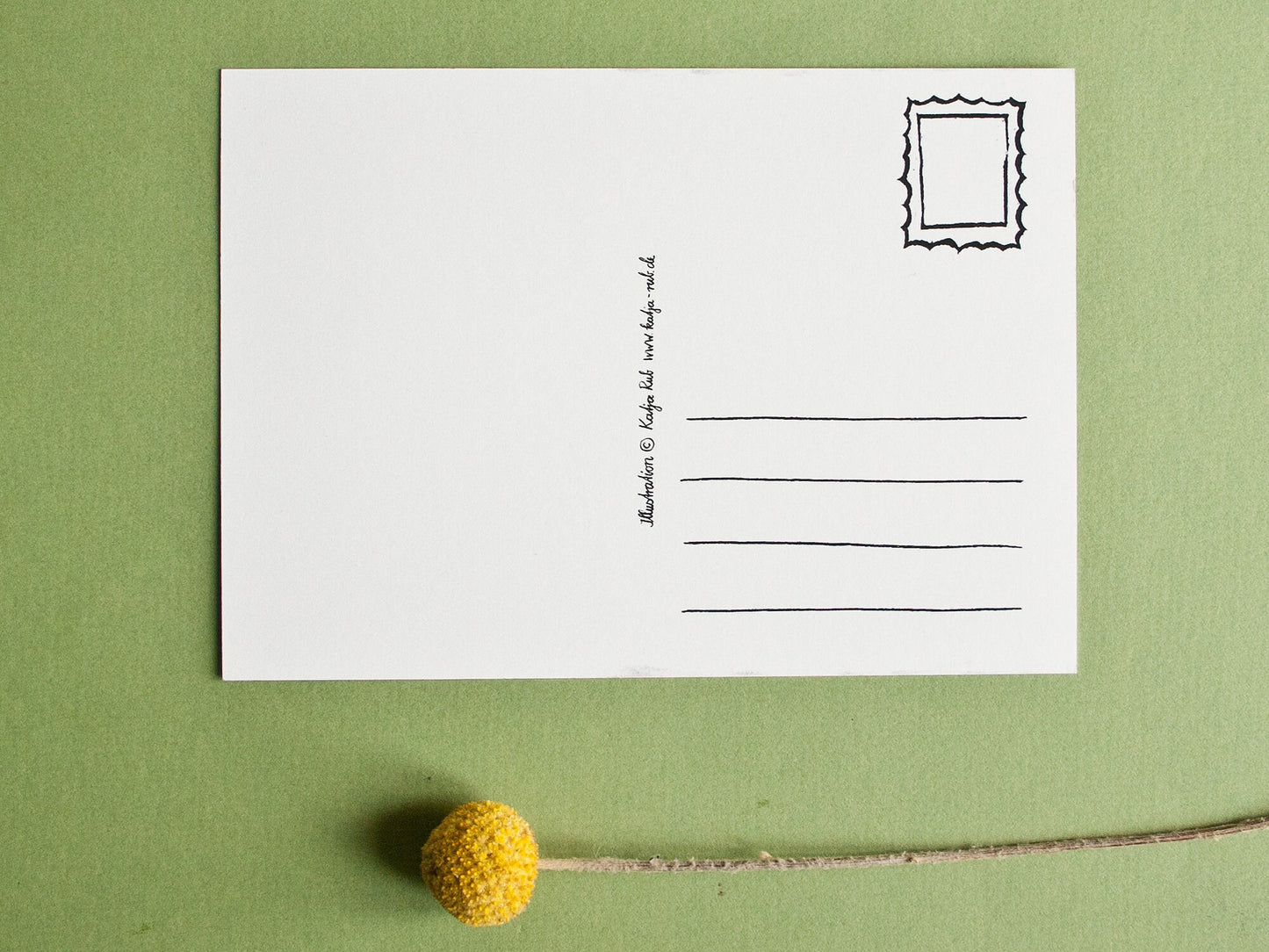 Postkarte A6 Reh Rückseite